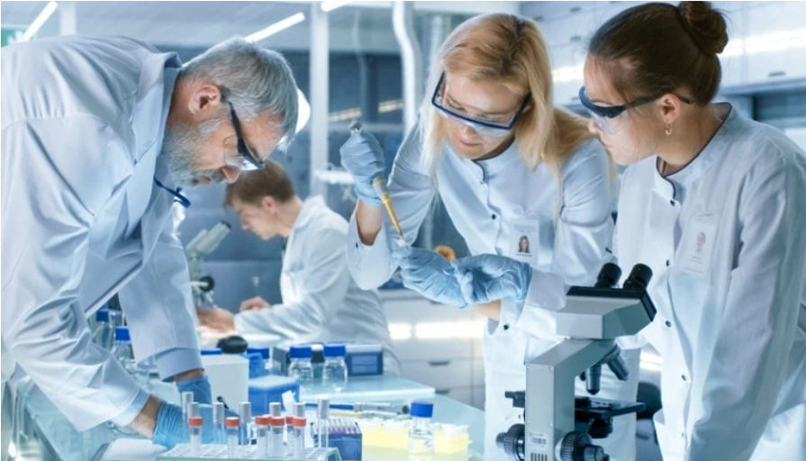 Top Online PhD Programs and Doctoral Degrees in 2025