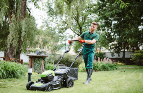 Green and Lush: Explore the Best Lawn Care Service Companies of 2025
