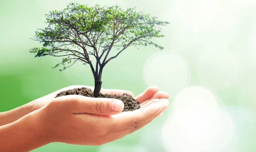 Secure Your Future: Exploring the Best Life Insurance Plans in the USA