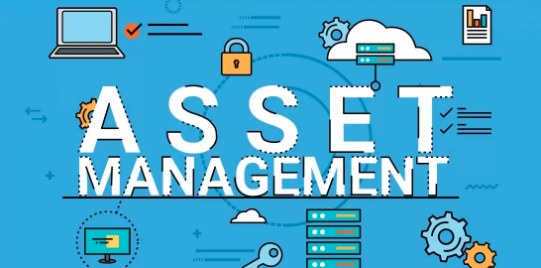 Top Asset Management Software Solutions for Your Business