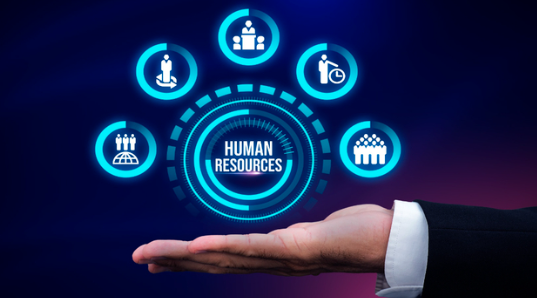 Best HR Software for Small & Medium Businesses