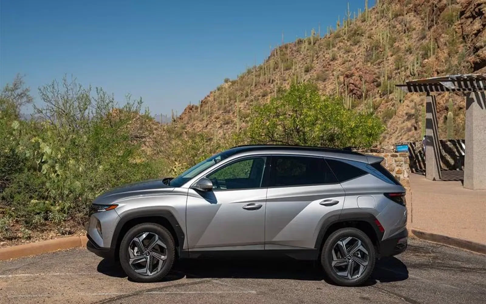 Top Hybrid Cars That Save Gas and Deliver Performance
