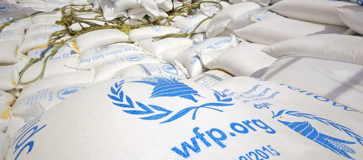 Is Donating to WFP Safe and Effective? What Americans Should Know