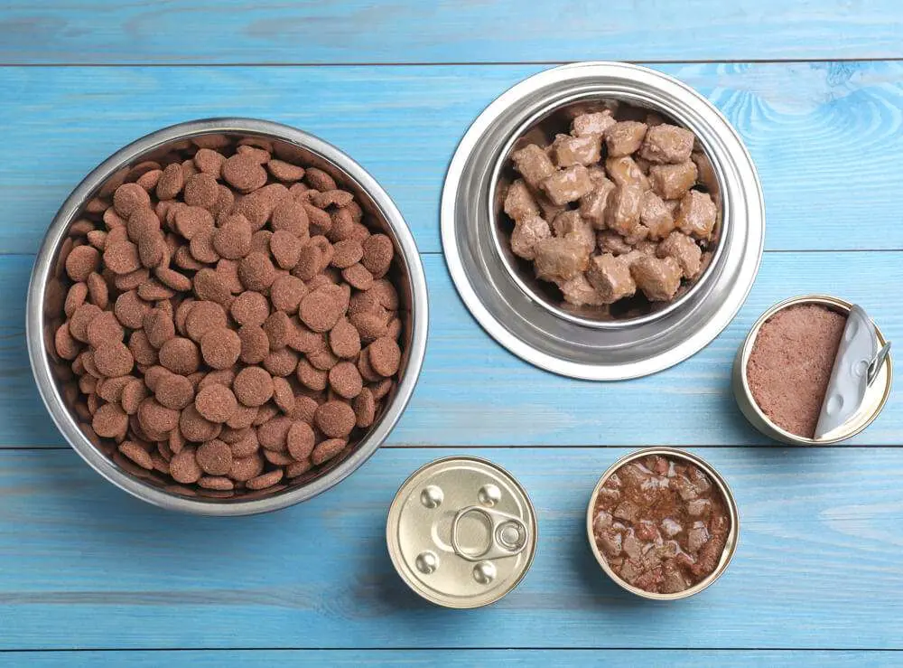 Is Badlands Ranch Dog Food Right for Your Pup? An Honest Review