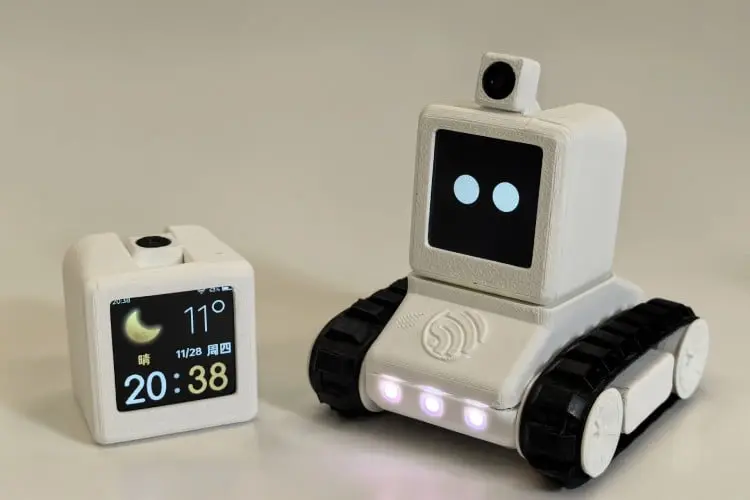 The Robot You Build: Exploring the World of Open-Source Robot Companions